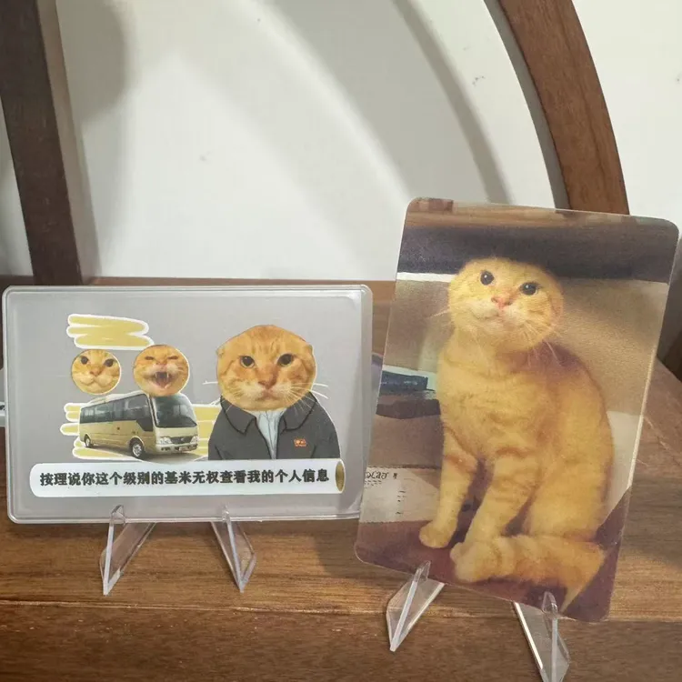 5张哈基米耄耋光栅卡身份证卡套鬼畜风格