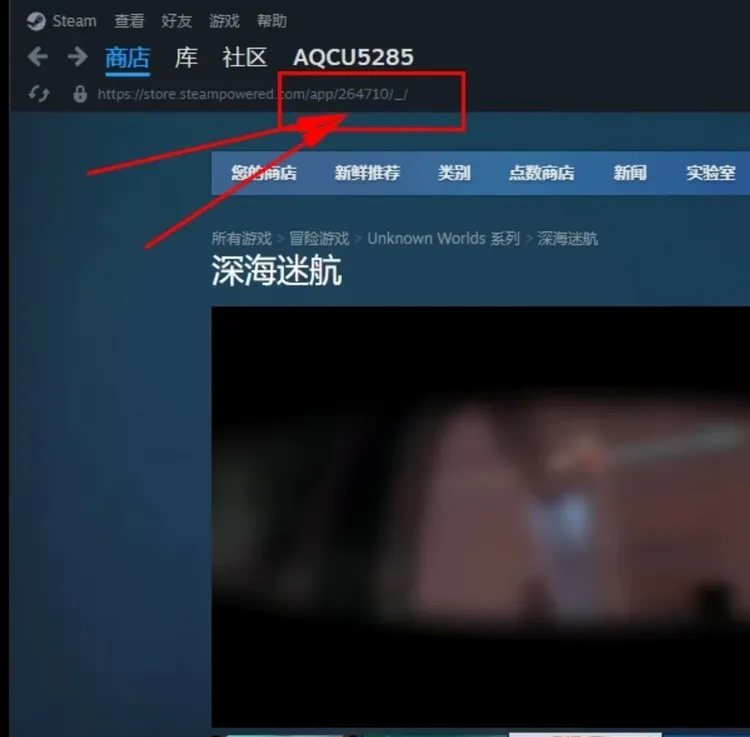 PC电脑游戏 Steam游戏定制入库电脑PC通用游戏手柄蓝牙无线手柄
