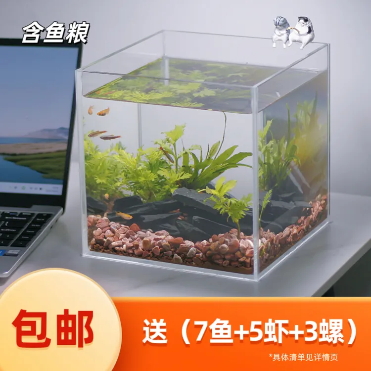 【原生缸】生态鱼缸 桌面小鱼缸 懒人免换水 鱼虾螺草石全套