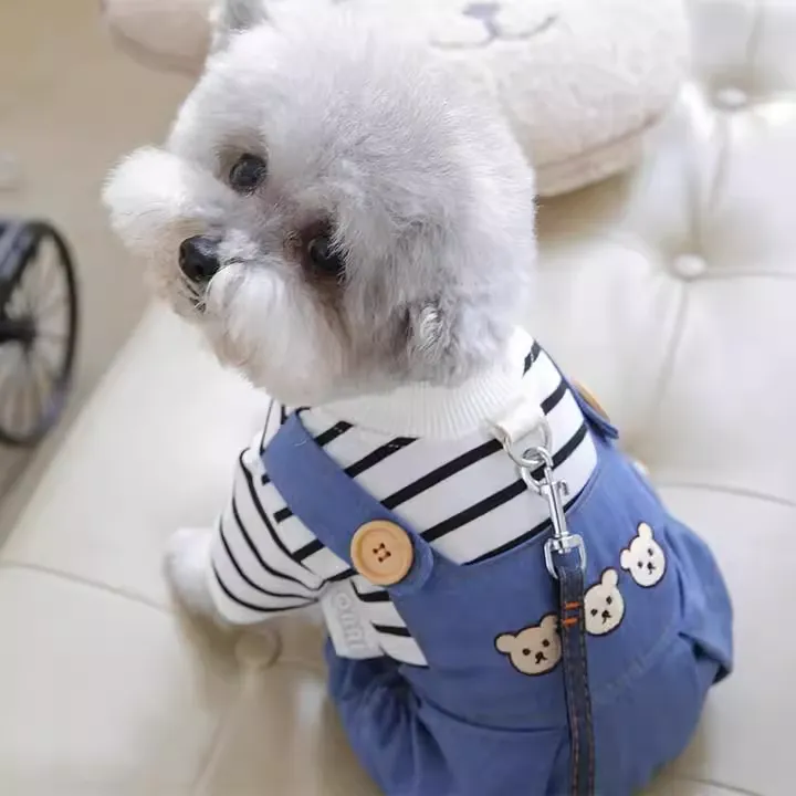 狗狗衣服可牵引宠物四脚衣泰迪比熊博美小型犬宠物猫咪春秋季薄款