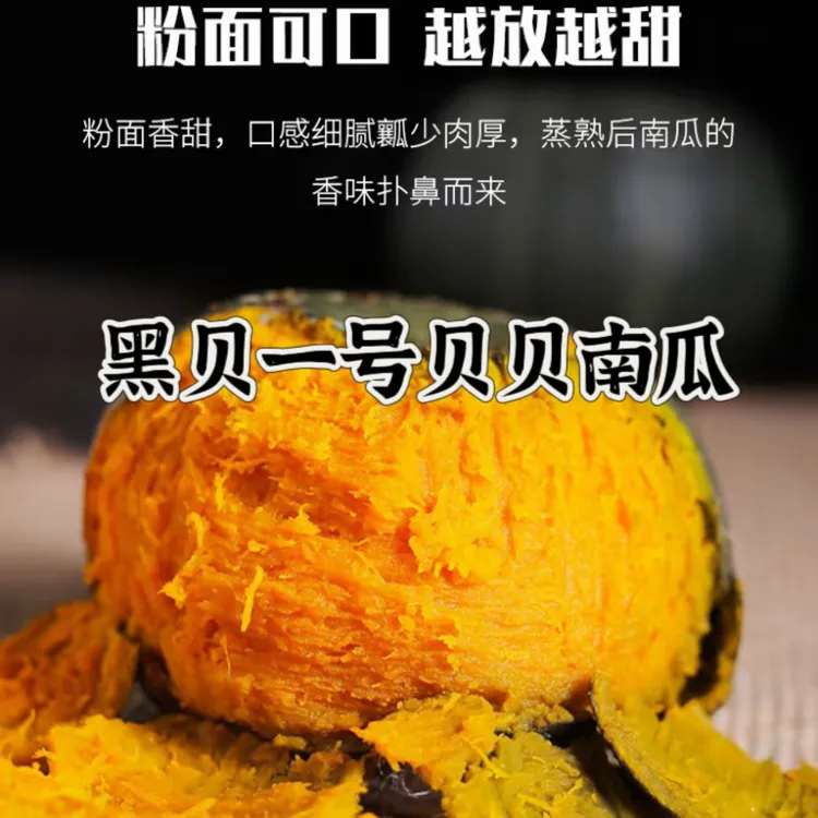 山东正宗黑贝一号贝贝南瓜粉糯香甜 4.5斤新鲜现摘现发