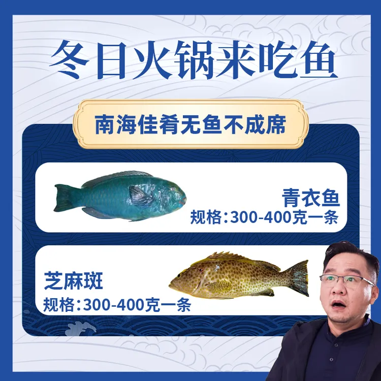 【漠叔专属B】特产海鱼鲜活速冻青衣鱼芝麻斑组合渔民手钓捕捞