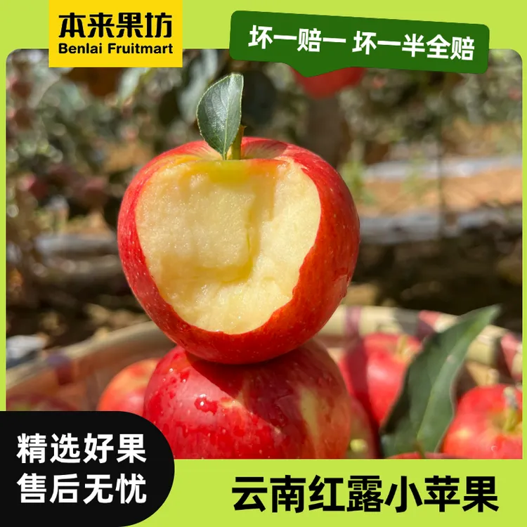 【本来果坊】云南昭通红露苹果 头茬小苹果 新鲜水果  产地直发
