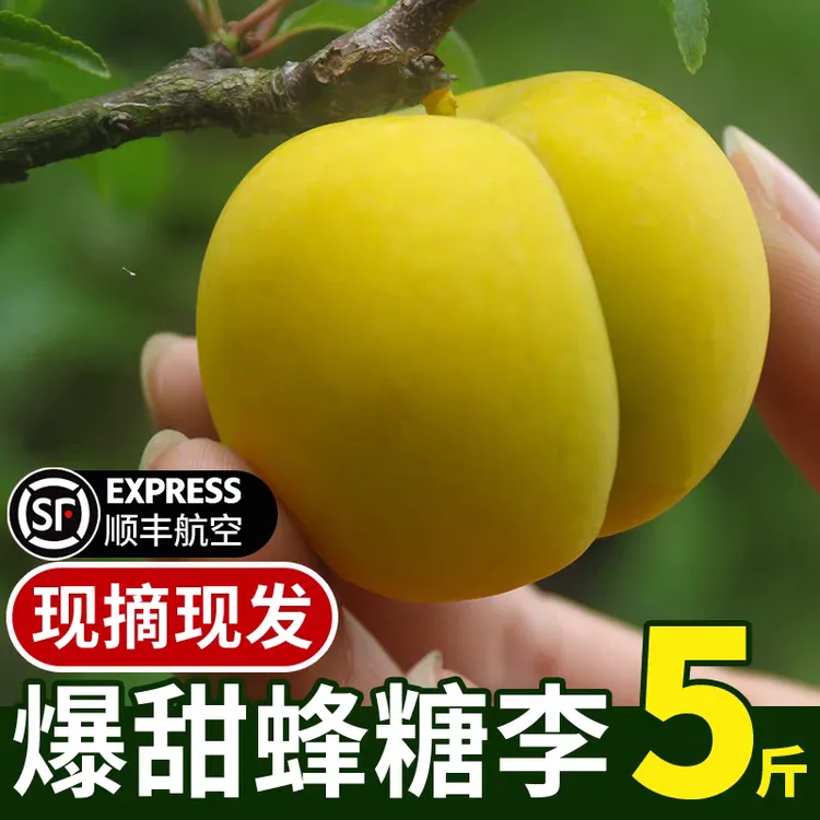 气调锁鲜+顺丰冷链正宗贵州镇宁六马蜂糖李子新鲜休闲解馋小零食