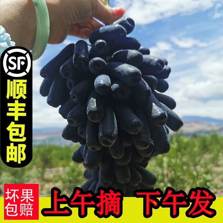 【顺丰包邮】甜蜜蓝宝石黑手指黑提子无籽甜鲜鲜水果整箱包邮
