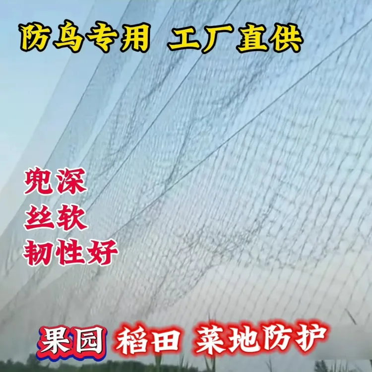 果园防鸟网单丝尼龙网麻雀画眉鸽子兔子养殖班九庭院防鸟网养殖网