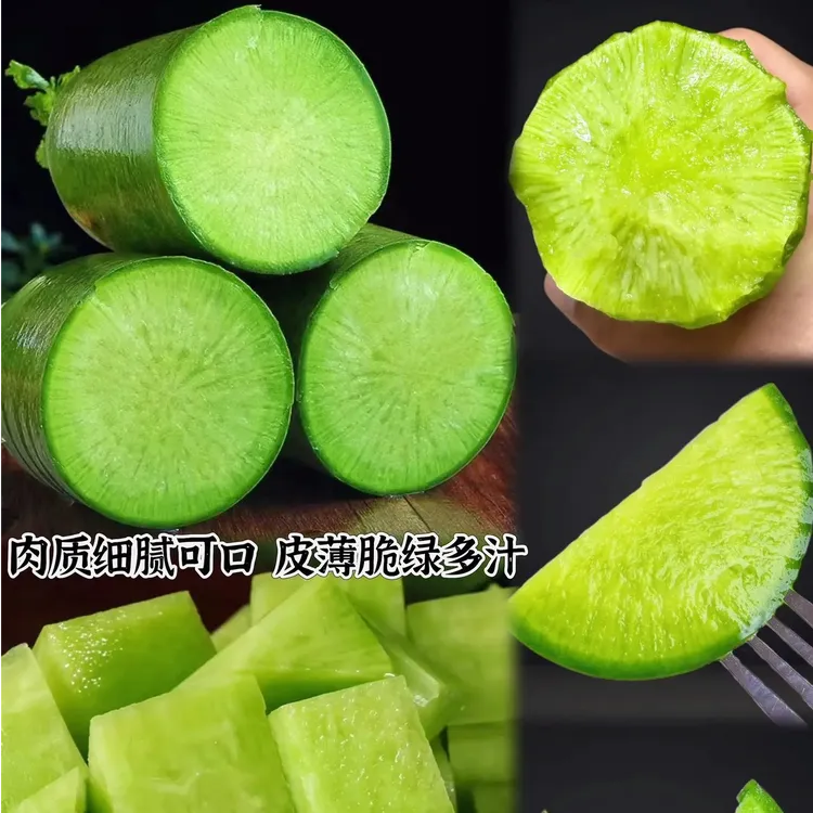 天津沙窝水果萝卜新鲜现挖脆甜多汁生吃爽口