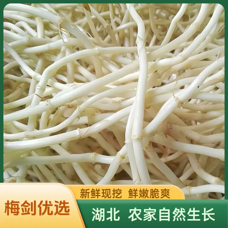 【每天现挖】湖北农家现挖新鲜鱼腥草折耳根凉拌嫩根菜营养健康蔬菜