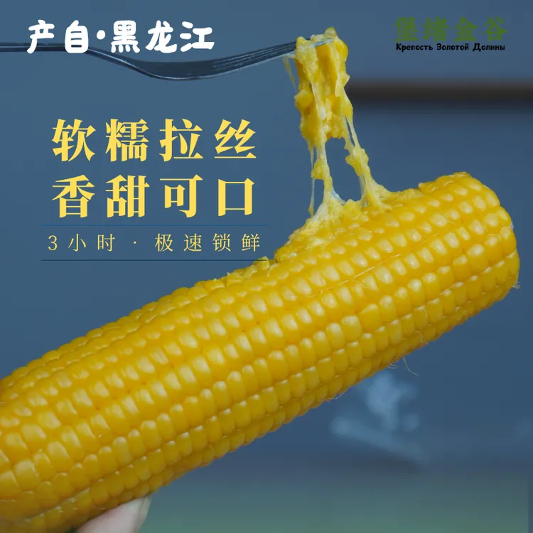 25年头茬东北黄糯玉米黑龙江原产地10根源头工厂包邮新鲜甜糯玉米