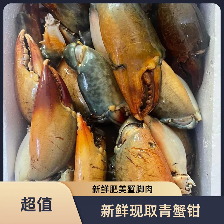新鲜青蟹腿特大蟹钳鳌大肉多海鲜水产活蟹青蟹脚野生现掰蟹脚钳