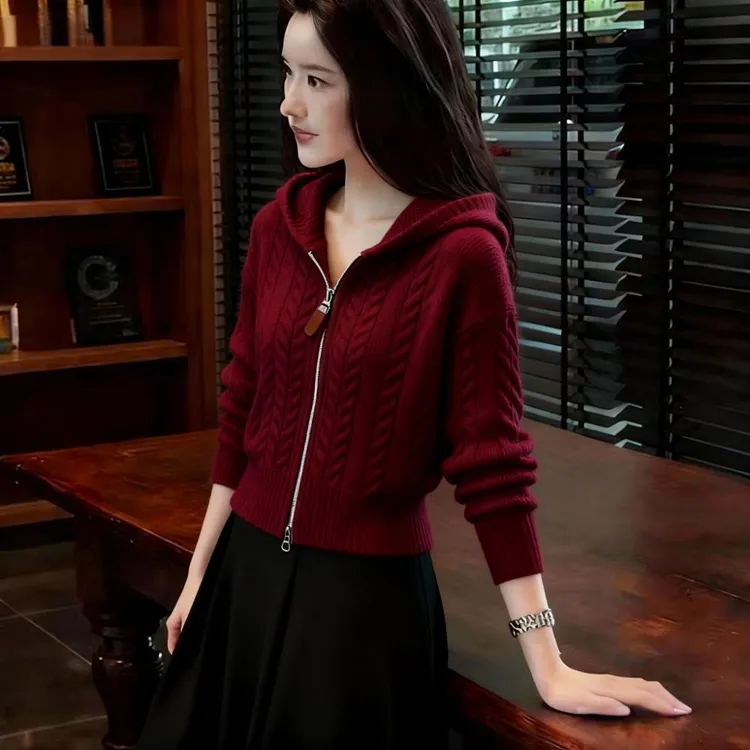 时尚慵懒风针织开衫女2025秋冬新款麻花纹气质显瘦软糯毛衣上衣女