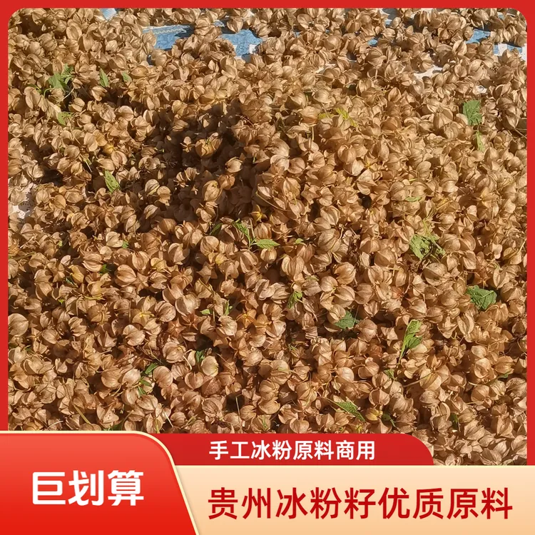【商用装】冰粉籽贵州优质网红手工气泡商用手搓冰粉原料手搓冰粉籽