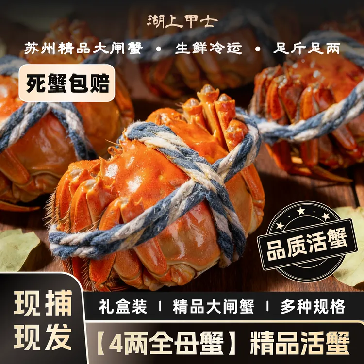 【活蟹】湖上甲士苏州精品大闸蟹巨无霸全母蟹4两6/10只  冷链发货