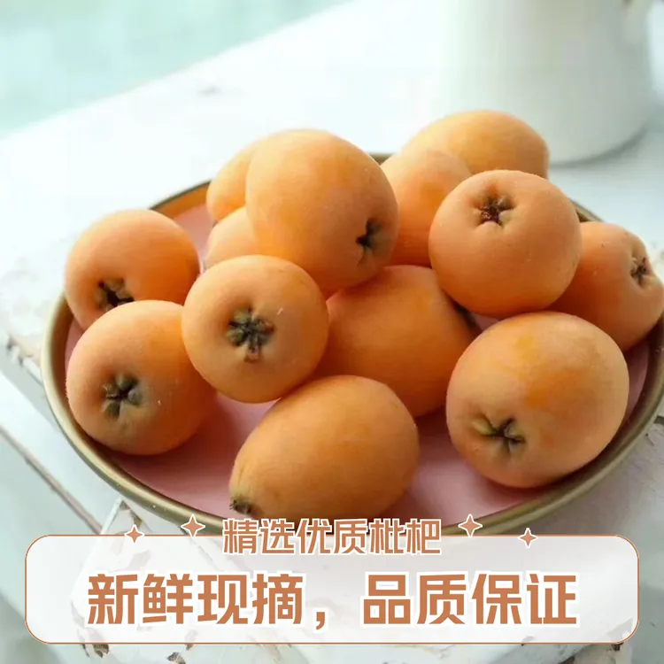 云南高原新鲜枇杷现摘当季枇杷新鲜水果儿童孕妇水果现摘顺丰包邮