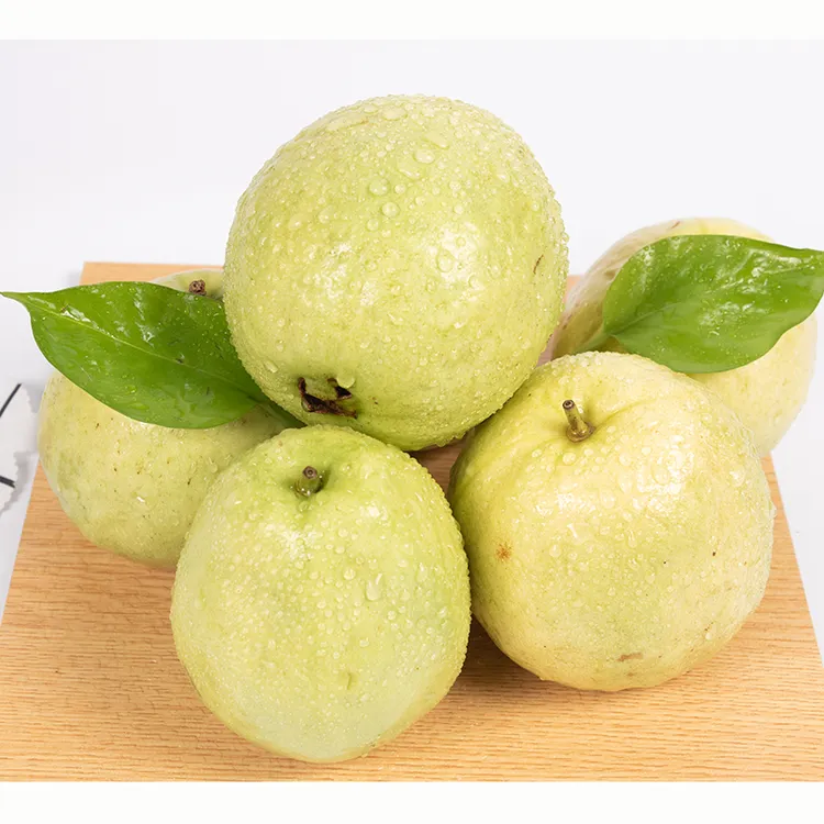 广西软糯香甜奶油芭乐红心/白心番石榴新鲜南方水果