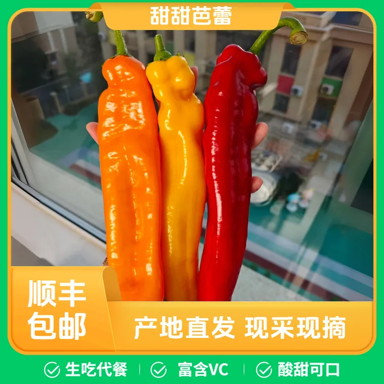 【顺丰包邮】甜辣椒水果彩椒身材管理（买一斤送半斤买二斤送一斤）