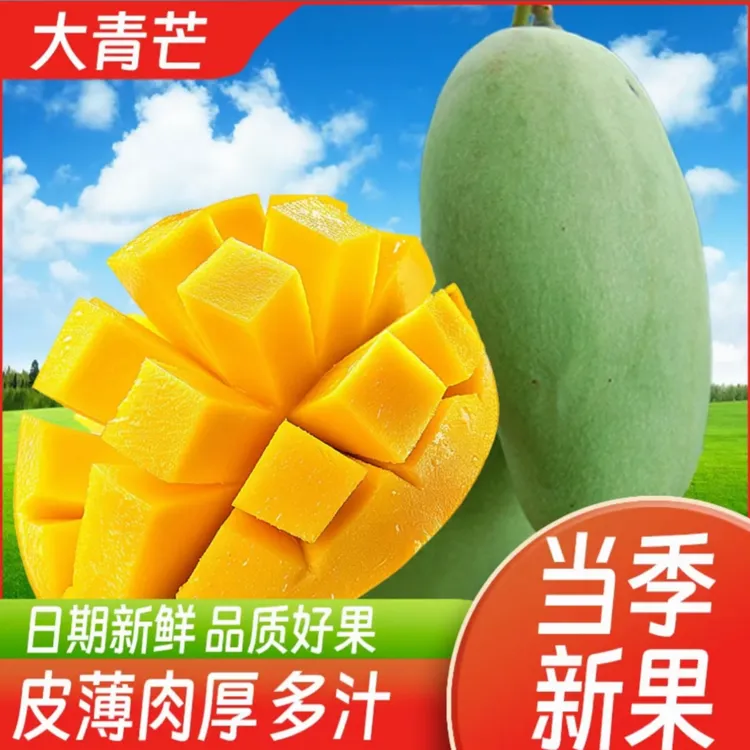 【李李家果园】越南青皮金煌芒新鲜采摘大青芒软糯香甜个大皮薄核小