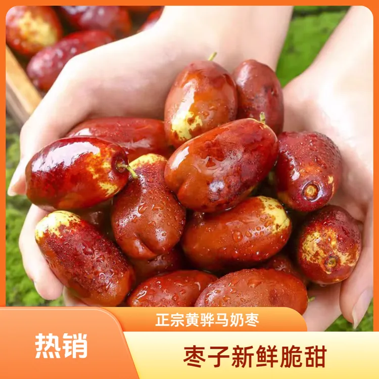 【河北特产】脆甜马奶枣黄骅冬枣现摘现发顺丰包邮