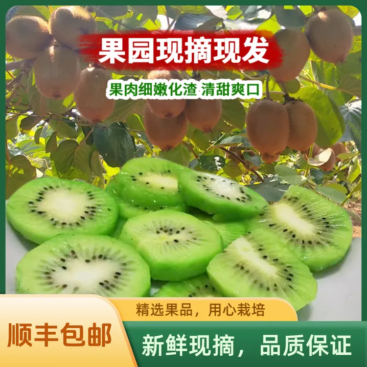【热销款中大果】正宗陕西徐香猕猴桃新鲜水果自然熟果香浓郁