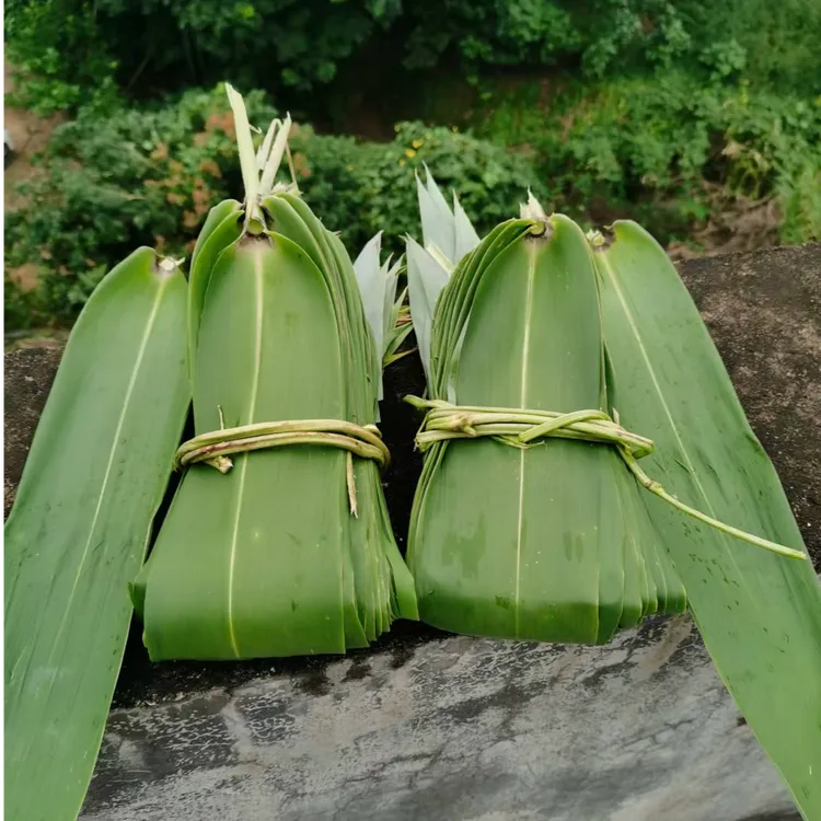 高山新鲜野生粽叶-生鲜50片/斤