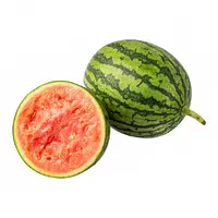 脆皮小宝墩墩西瓜1个装1.25kg