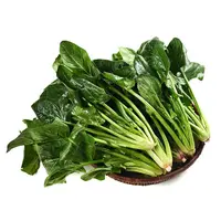 菠菜 300g