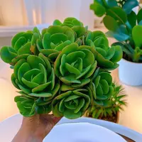 鸡蛋碧桃 2颗群生  脱土发货 多肉植物【满15包邮】新手好养红