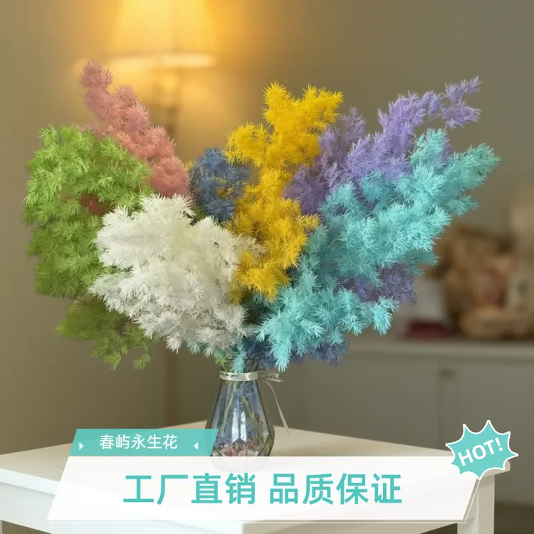A级品质永生蓬莱松干花适合手工diy与节日装饰