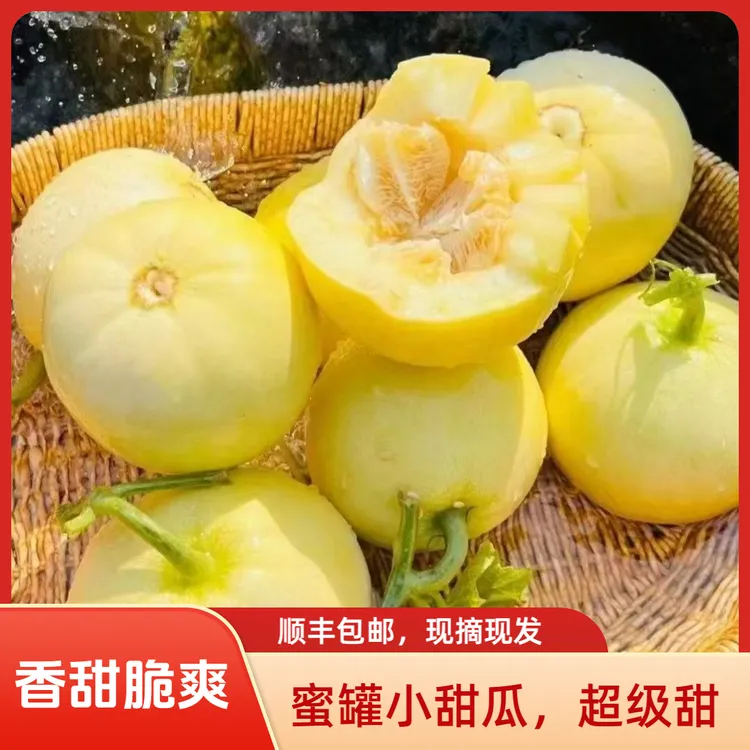 【顺丰到家】山东沂蒙山蜜罐小甜瓜香甜脆爽现摘现发产地直发