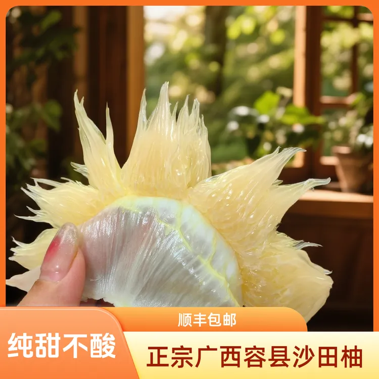 正宗广西容县沙田柚柚子纯甜无酸三十年老树果广西容县正宗沙田柚