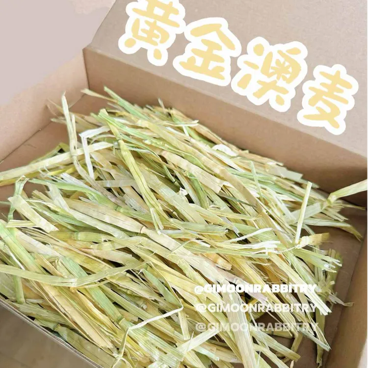 积木家黄金澳洲燕麦草|手工精挑宠物兔子龙猫豚鼠高纤维干草
