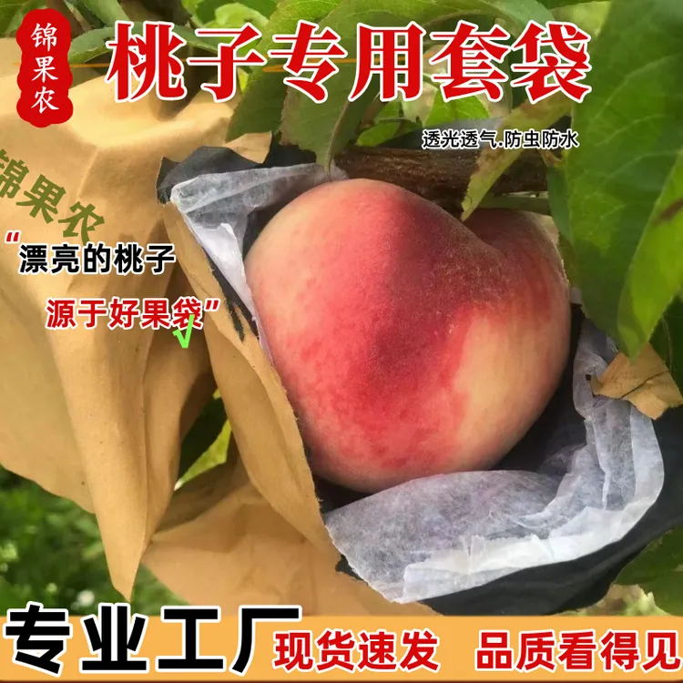 桃子防虫防鸟防雨透气育果袋加厚黄桃桃子套袋专用袋
