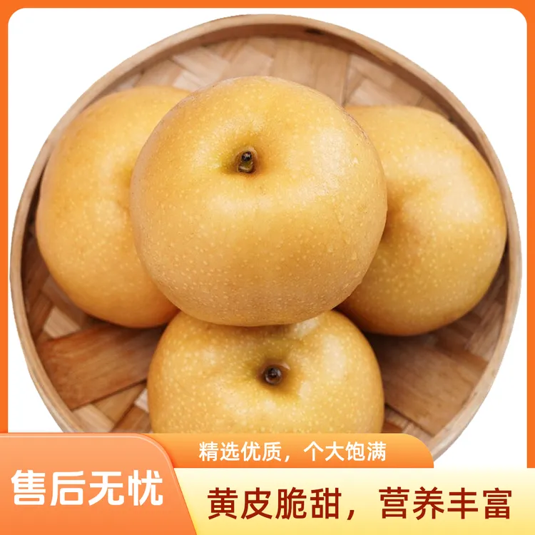 正宗烟台莱阳秋月梨新鲜冰糖梨当季水果秋月梨现摘皮薄