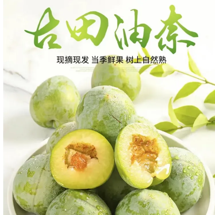 正宗福建古田晚熟油奈脱骨李孕妇新鲜水果脆甜多汁当天现摘现发