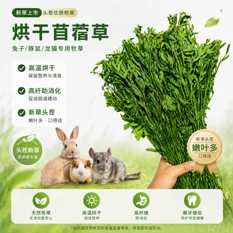 优质苜蓿草兔子豚鼠荷兰猪龙猫磨牙紫花苜蓿草干草补充宠物蛋白质