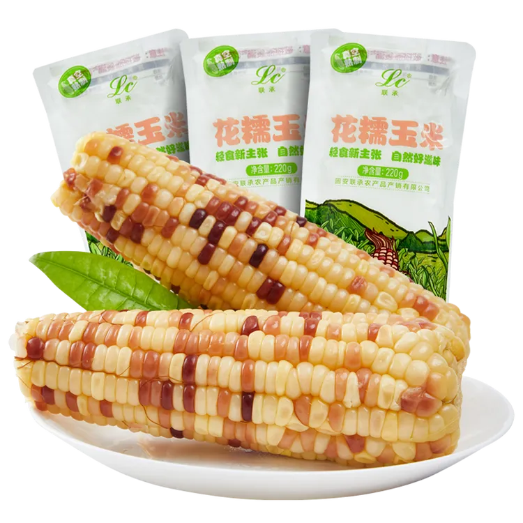 单根品鉴 真空包装甜粘 花糯玉米棒甜黏软糯香【粗粮代餐】河北特产