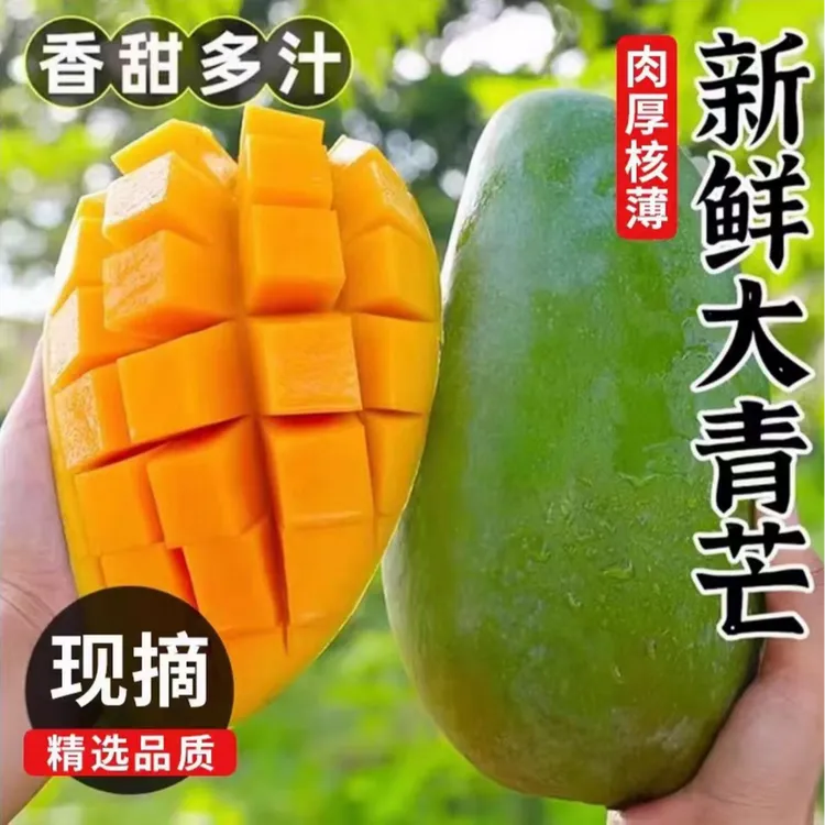 大青芒青皮金煌芒催熟食用 坏果包赔 单果500g+带箱5斤4-8个