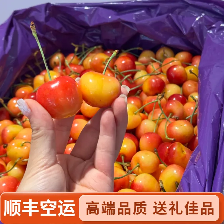 【顺丰空运】智利空运雷尼尔黄金车厘子大樱桃2-4J内附果径卡
