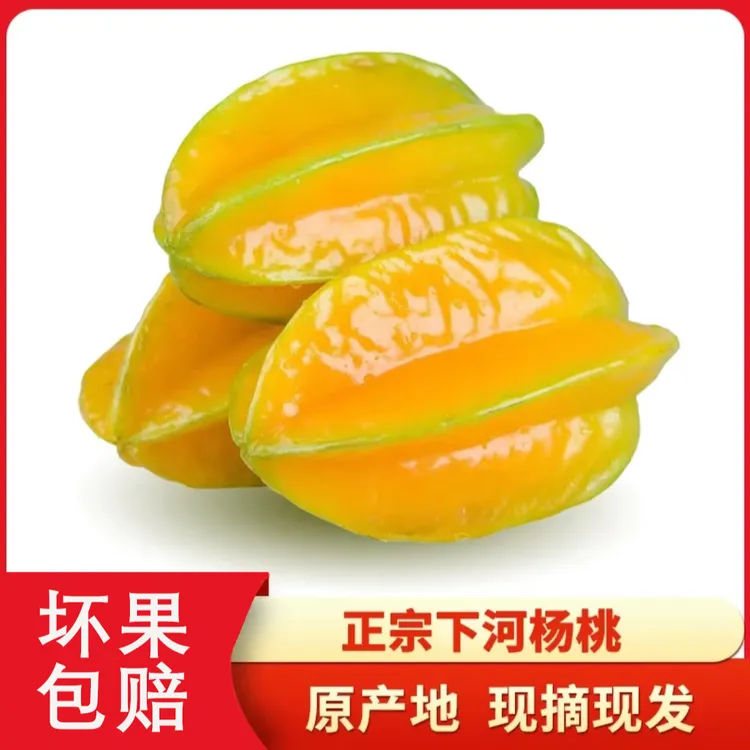 福建杨桃{送酸梅粉}新鲜采摘3斤 4.5斤装 （棱角轻微磕碰不售后）