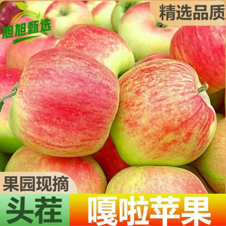 新疆阿克苏嘎啦苹果新鲜水果当季整箱现摘早熟红富士冰糖小苹果