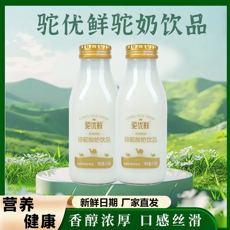 驼优鲜新疆驼奶生牛乳发酵酸奶饮品早餐奶营养健康超好喝300ml/瓶