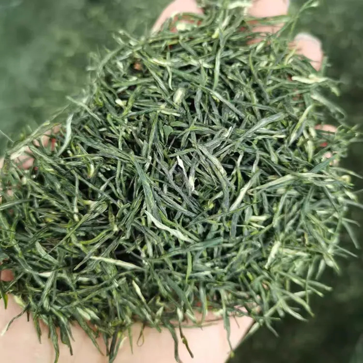 新茶2025湖北绿茶高香耐泡云雾绿茶口粮茶一斤大份量实惠装包邮