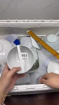 【闪购商品】003回流瓷器默认微瑕，18.8包邮