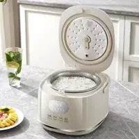TS1670 低糖电饭煲3升304不锈钢胆家用多功能米汤分离电饭锅