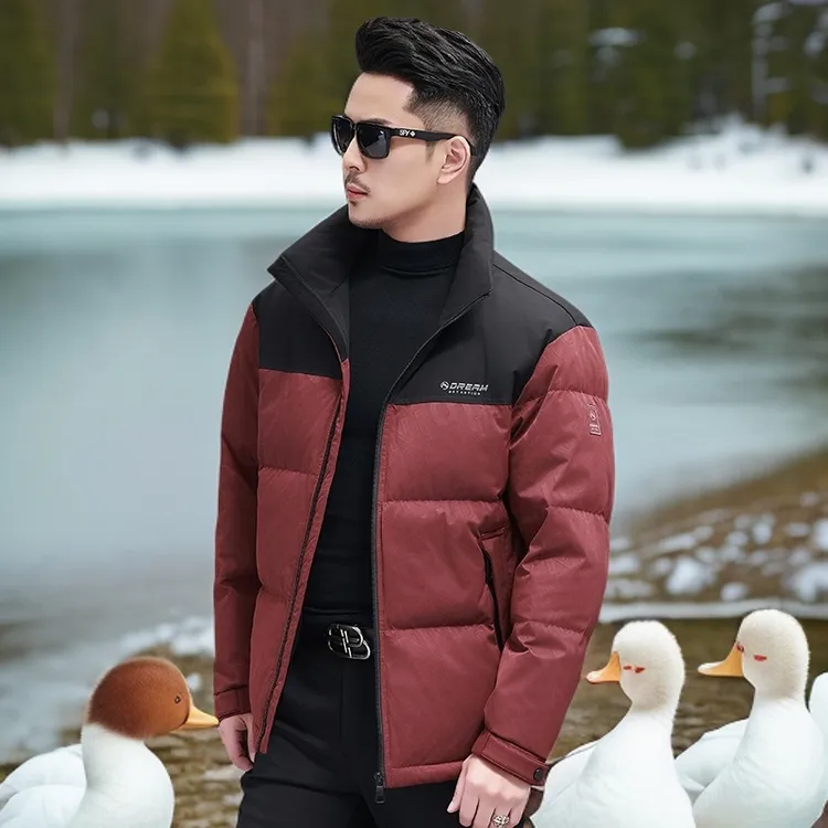 BOTEMER/比提米尔冬季羽绒服男士短款时尚休闲加厚保暖立领外套