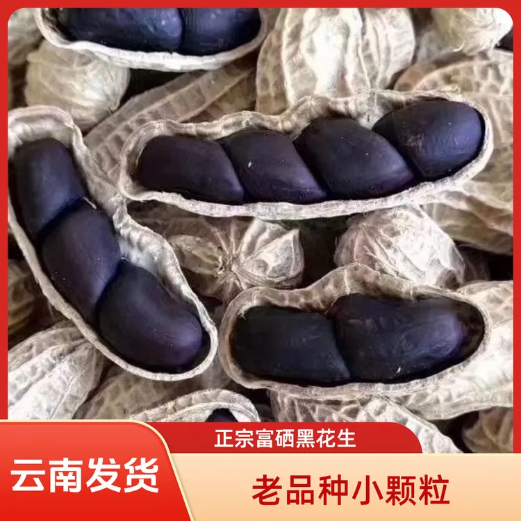正宗云南特产老品富硒黑花生送1红软米