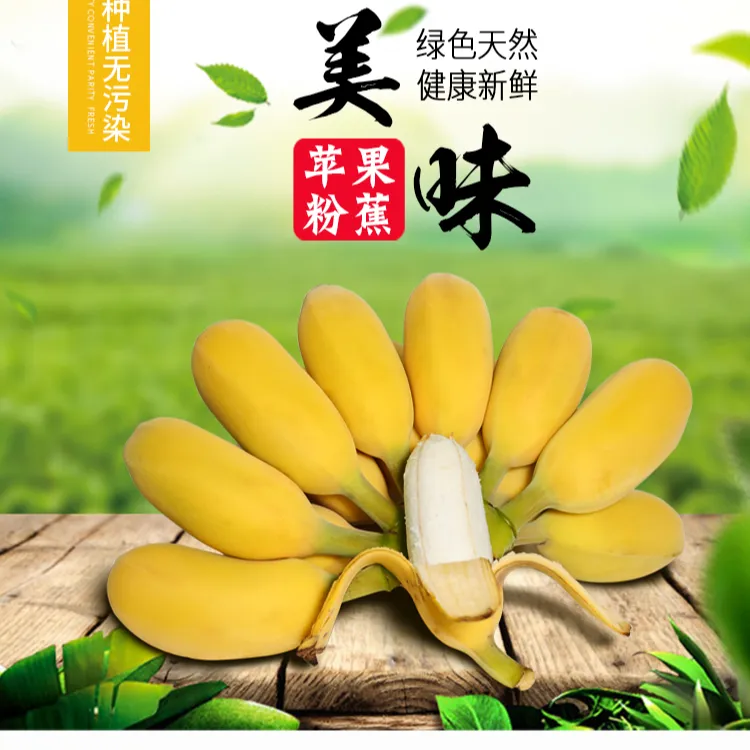 苹果蕉广西正宗饱满青的发货无催熟剂价格实惠软糯好吃