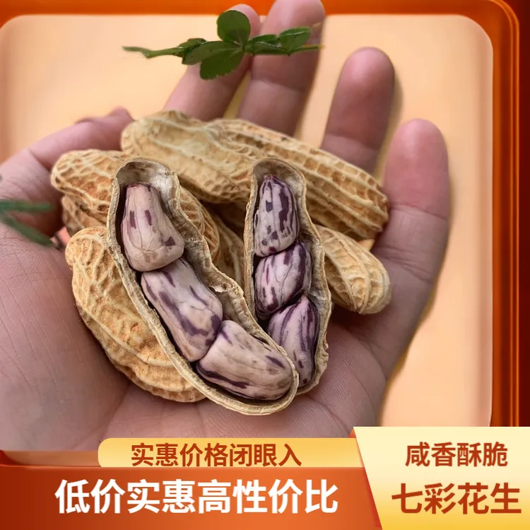 2025年新货云南七彩花生带壳熟花生牛奶花生水果花生营养小吃零食