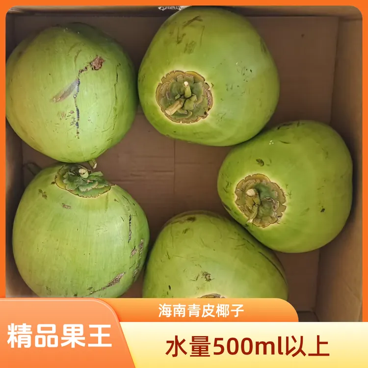 正宗海南文昌东郊青皮椰子5个精品礼盒装自然新鲜带果酸