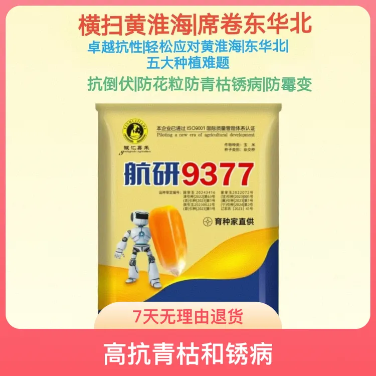 抗烂头/无花粒/免疫青枯和锈病/不倒伏/夏播领跑者/春播实力派